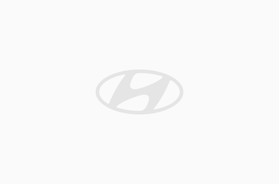 Photovoltaik-geführtes Laden für NRGkick